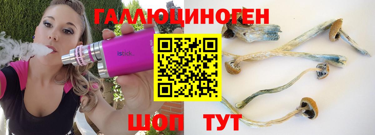 Псилоцибиновые грибы Cubensis  Вход с VPN  Воркута  Псилоцибиновые грибы ЛСД 